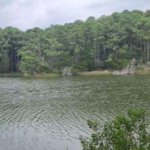 Photo #8 of Lot1-A-1 OLD NECK RD, EXMORE, VA 30.0 acres
