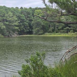Photo #9 of Lot1-A-1 OLD NECK RD, EXMORE, VA 30.0 acres