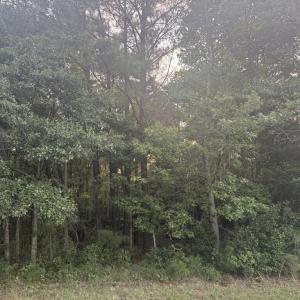 Photo #3 of Lot 10 HERON HILL LANE, BELLE HAVEN, VA 3.1 acres