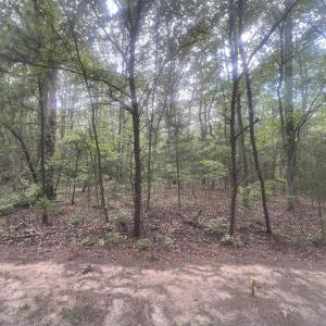 Photo #8 of Lot 10 HERON HILL LANE, BELLE HAVEN, VA 3.1 acres