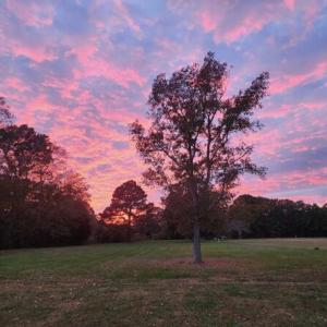 Photo #2 of 22 CLEARVIEW WAY, EXMORE, VA 1.8 acres