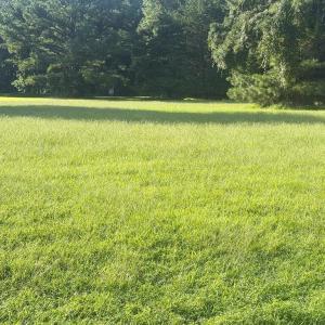 Photo #2 of Lot 298 UNDERWAY RD, GREENBACKVILLE, VA 9,750.0 acres
