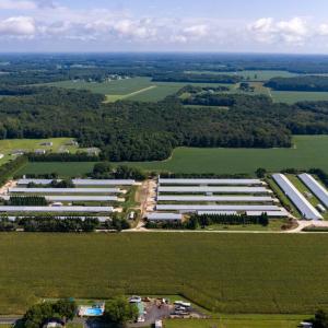 Photo #10 of 21213 BIG FARM RD, MELFA, VA 22.9 acres