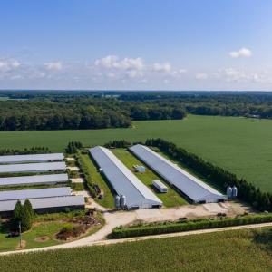 Photo #11 of 21213 BIG FARM RD, MELFA, VA 22.9 acres