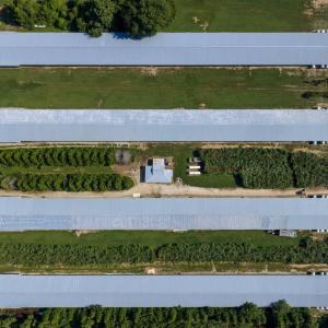 Photo #12 of 21213 BIG FARM RD, MELFA, VA 22.9 acres