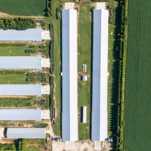 Photo #13 of 21213 BIG FARM RD, MELFA, VA 22.9 acres