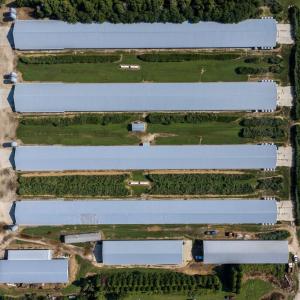 Photo #14 of 21213 BIG FARM RD, MELFA, VA 22.9 acres