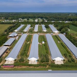 Photo #15 of 21213 BIG FARM RD, MELFA, VA 22.9 acres