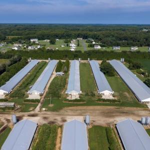 Photo #16 of 21213 BIG FARM RD, MELFA, VA 22.9 acres
