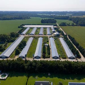 Photo #2 of 21213 BIG FARM RD, MELFA, VA 22.9 acres