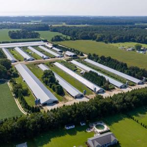 Photo #3 of 21213 BIG FARM RD, MELFA, VA 22.9 acres