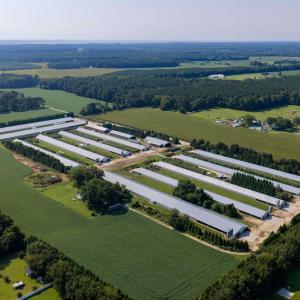 Photo #4 of 21213 BIG FARM RD, MELFA, VA 22.9 acres