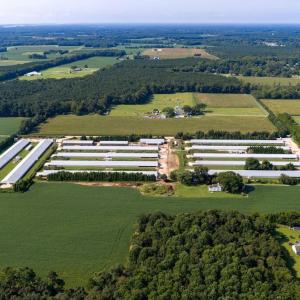 Photo #5 of 21213 BIG FARM RD, MELFA, VA 22.9 acres