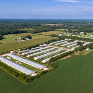 Photo #6 of 21213 BIG FARM RD, MELFA, VA 22.9 acres
