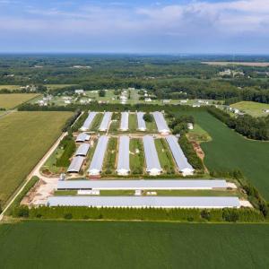 Photo #7 of 21213 BIG FARM RD, MELFA, VA 22.9 acres