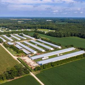 Photo #8 of 21213 BIG FARM RD, MELFA, VA 22.9 acres