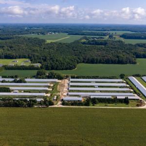 Photo #9 of 21213 BIG FARM RD, MELFA, VA 22.9 acres