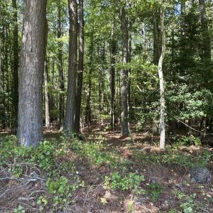 Photo #3 of 9,10,11 CUSTIS CREEK LANE, ACCOMAC, VA 4.0 acres