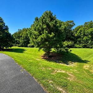 Photo #3 of Lot 40 DOE CROSSING, MELFA, VA 2.0 acres