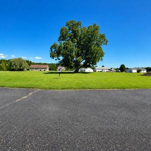 Circle entrance into Community, Stunning Pecan Tre