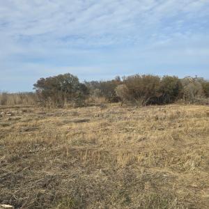 Photo #5 of DENNIS DR, SAXIS, VA 3.6 acres