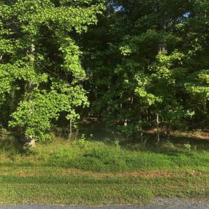 Photo #2 of Lot 1076 AMIDSHIP DR, GREENBACKVILLE, VA 9.0 acres