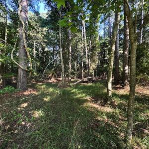 Photo #3 of Lot 1076 AMIDSHIP DR, GREENBACKVILLE, VA 9.0 acres