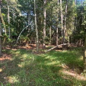 Photo #4 of Lot 1076 AMIDSHIP DR, GREENBACKVILLE, VA 9.0 acres