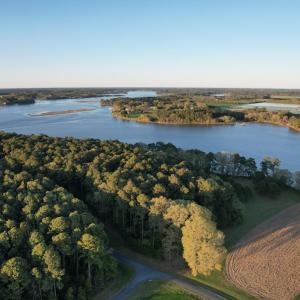 Photo #10 of Lot 9 CHURCH POINT LN, MACHIPONGO, VA 6.6 acres