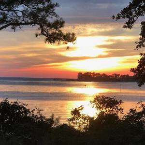 Photo #6 of Lot 9 CHURCH POINT LN, MACHIPONGO, VA 6.6 acres