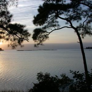 Photo #7 of Lot 9 CHURCH POINT LN, MACHIPONGO, VA 6.6 acres