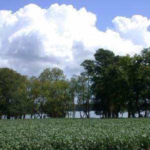 Photo #8 of Lot 9 CHURCH POINT LN, MACHIPONGO, VA 6.6 acres