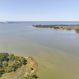 Photo #17 of Lot 12 POND VIEW COURT, PAINTER, VA 1.8 acres