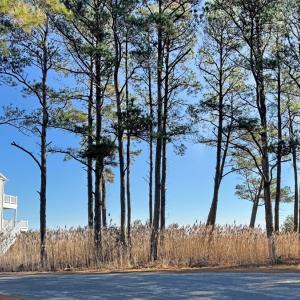Photo #3 of Lot 718 CASTAWAY DR, GREENBACKVILLE, VA 7.0 acres