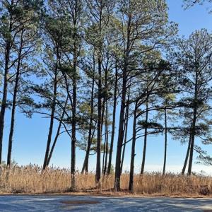 Photo #5 of Lot 718 CASTAWAY DR, GREENBACKVILLE, VA 7.0 acres