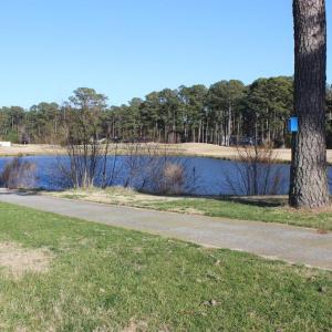 Photo #2 of 391 MERIDIAN DR, GREENBACKVILLE, VA 92.0 acres