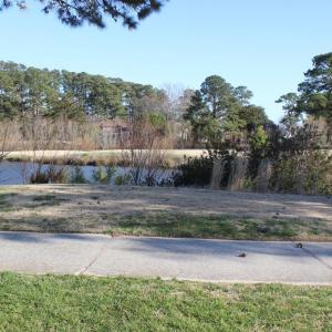Photo #3 of 391 MERIDIAN DR, GREENBACKVILLE, VA 92.0 acres