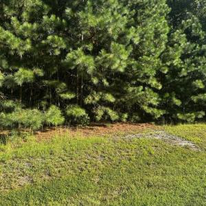 Photo #6 of 107-110 OYSTER COURT, PAINTER, VA 11.5 acres