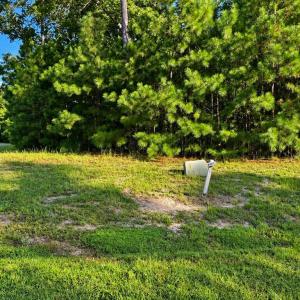 Photo #4 of 107-110 OYSTER COURT, PAINTER, VA 11.5 acres