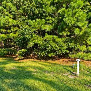 Photo #7 of 107-110 OYSTER COURT, PAINTER, VA 11.5 acres