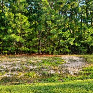 Photo #4 of 107 OYSTER COURT, PAINTER, VA 2.5 acres
