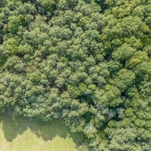 Photo #10 of 1 HURST STORE ROAD, GREENBUSH, VA 1.5 acres