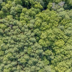 Photo #11 of 1 HURST STORE ROAD, GREENBUSH, VA 1.5 acres
