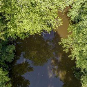 Photo #13 of 1 HURST STORE ROAD, GREENBUSH, VA 1.5 acres