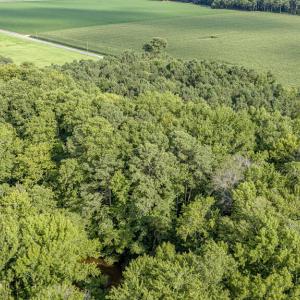 Photo #15 of 1 HURST STORE ROAD, GREENBUSH, VA 1.5 acres