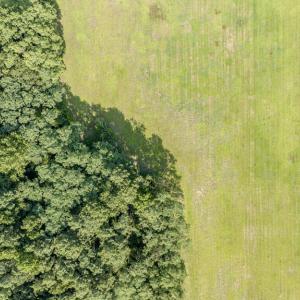Photo #18 of 1 HURST STORE ROAD, GREENBUSH, VA 1.5 acres