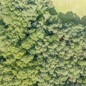 Photo #20 of 1 HURST STORE ROAD, GREENBUSH, VA 1.5 acres