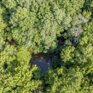 Photo #23 of 1 HURST STORE ROAD, GREENBUSH, VA 1.5 acres