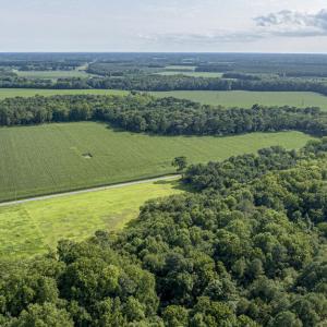 Photo #31 of 1 HURST STORE ROAD, GREENBUSH, VA 1.5 acres