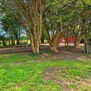 Photo #7 of 23239 FRONT ST, ACCOMAC, VA 1.2 acres